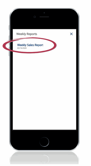 Select a Greenwald Pay report